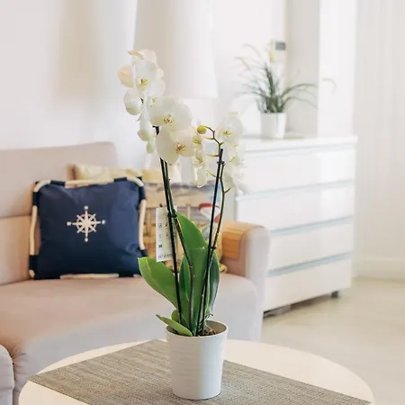 Z Widokiem Na Morze I Aneksem Kuchennym Ultra Marine Apartament *