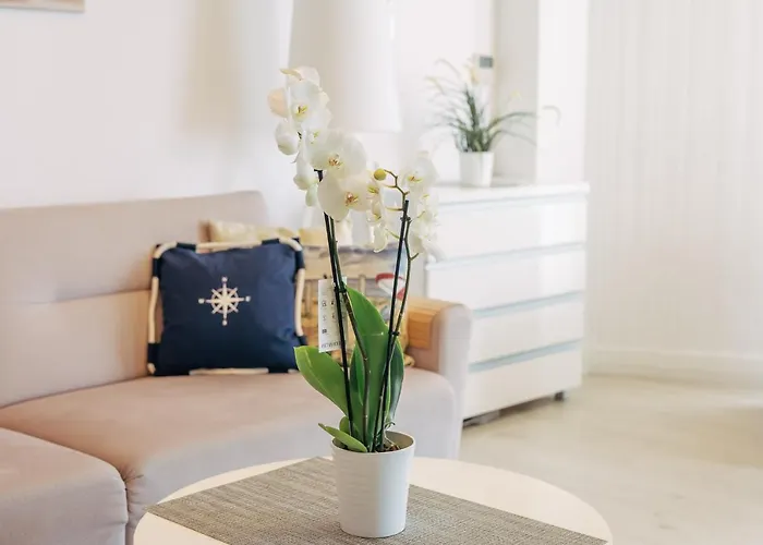 Z Widokiem Na Morze I Aneksem Kuchennym Ultra Marine Apartament *